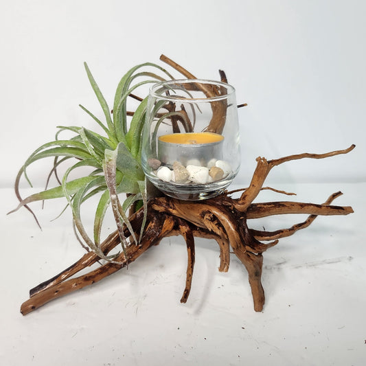 Seaside Serenity Centerpiece - Option 4