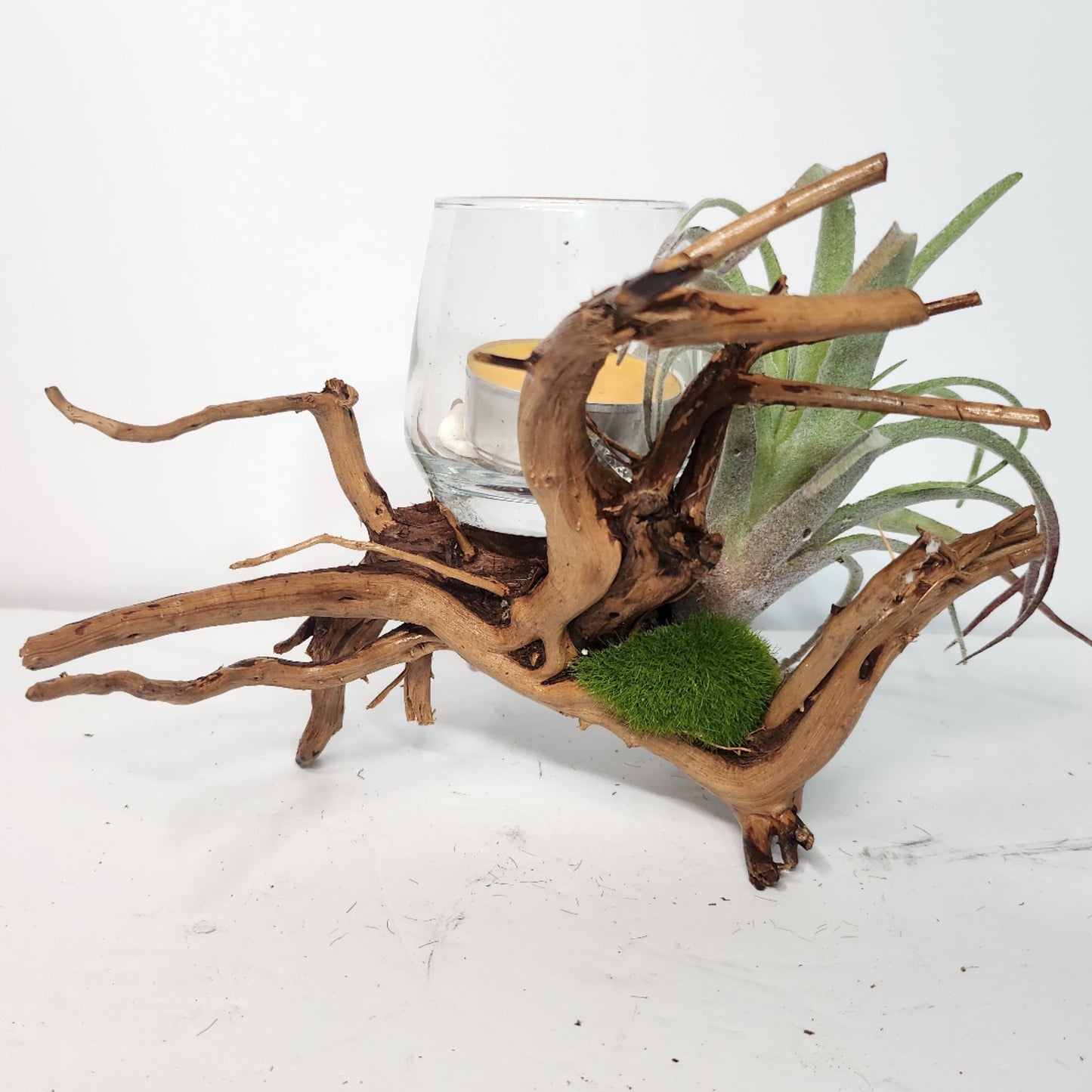 Seaside Serenity Centerpiece - Option 4