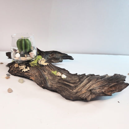 Seaside Serenity Centerpiece - Option 1
