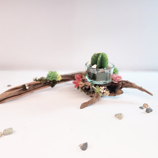 Seaside Serenity Centerpiece - Option 3