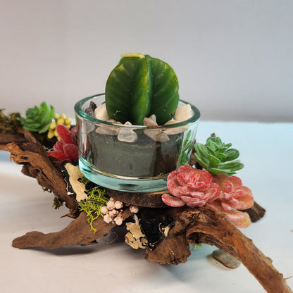 Seaside Serenity Centerpiece - Option 3