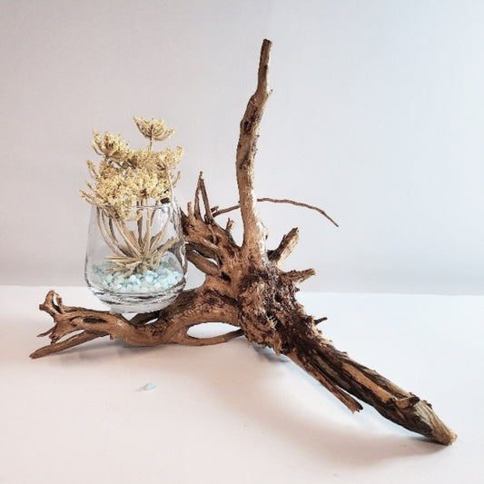Seaside Serenity Centerpiece - Option 5